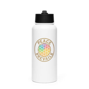 Stainless steel water bottle with a straw lid